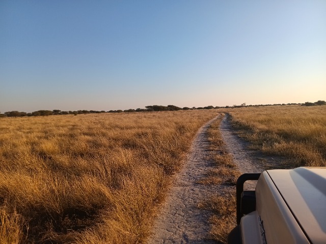 Kalahari Botswana Jeep Safari