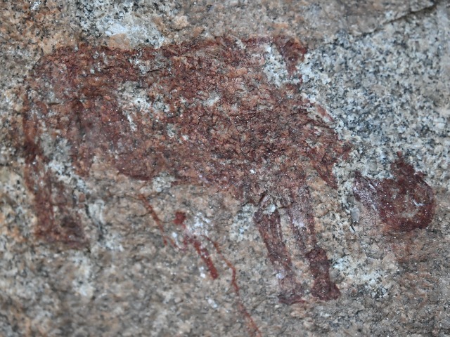 Felszeichnung Felsmalerei Matobo Hills Simbabwe